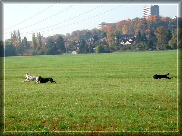 Völlig falsches Bild